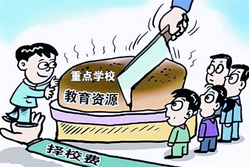 初一學(xué)生超前學(xué)習(xí)現(xiàn)象引關(guān)注，家庭教育咨詢服務(wù)助力家長科學(xué)引導(dǎo)